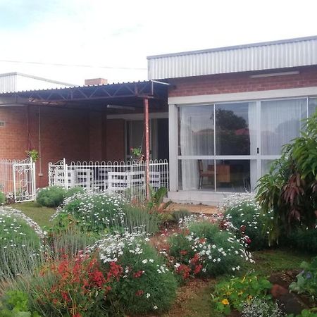 Savanna Bulawayo Dış mekan fotoğraf